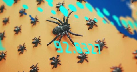 Perching glittery black spider on orange prop with neon digits and tiny spiders