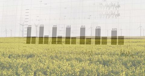Canola field merging with renewable energy data bar chart overlay and wind turbines