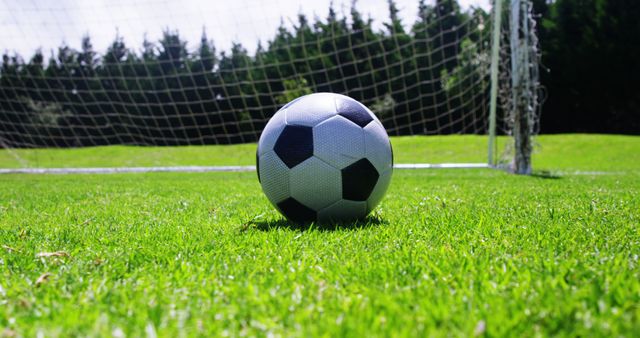 Close-up of soccer ball on green grass field with goal in background - Download Free Stock Images Pikwizard.com