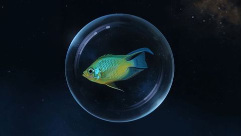 Iridescent Tropical Fish Floating Inside Glass Bubble Against Starry Cosmic Nebula Background