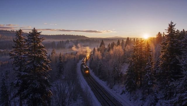 Freight train traveling through snowy pine forest at sunrise, steam plume, golden light