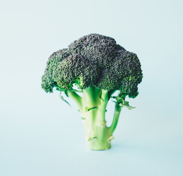 Broccoli Cruciferous vegetable Vegetable - Download Free Stock Photos Pikwizard.com