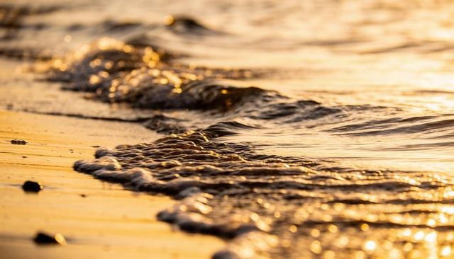 Golden sunlit shoreline lapping wave on sandy beach with foamy tide and reflections