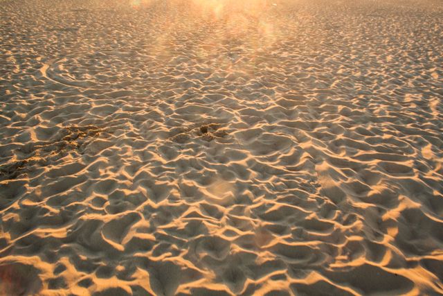 Golden Sunrise Light Over Textured Sandy Beach - Download Free Stock Photos Pikwizard.com