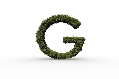 Transparent Green Foliage Letter G on Spacious Surface - Download Free Stock Videos Pikwizard.com