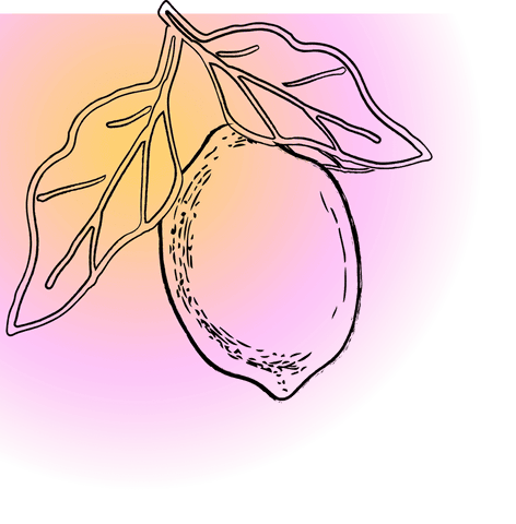 Transparent lemon branch with leaves on vibrant gradient