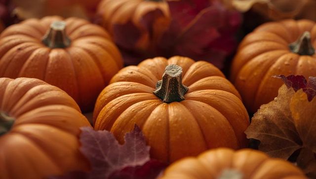 Dew-Kissed Mini Pumpkins Nestled Among Autumn Leaves Warm Rustic Closeup for Fall