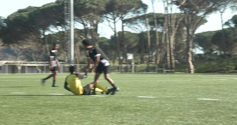 Dynamic soccer players showcasing teamwork on field