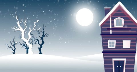 Snowfall at Night Over Quaint Winter Landscape