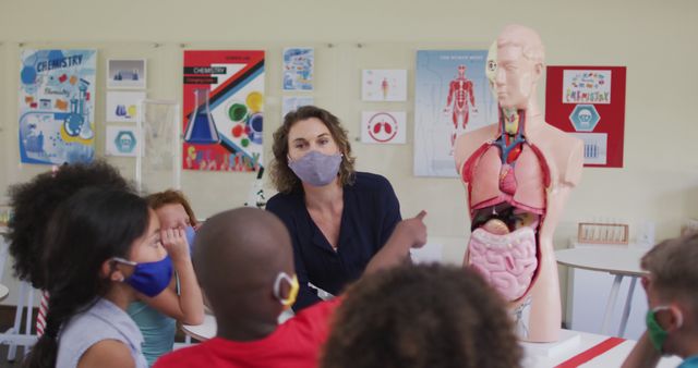 Diverse Children Learning Human Anatomy in Classroom with Teacher - Download Free Stock Images Pikwizard.com