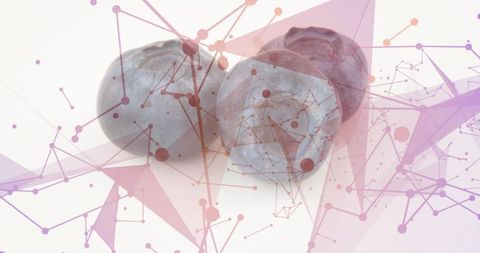 Blueberries showing powdery bloom with purple-pink geometric network overlay