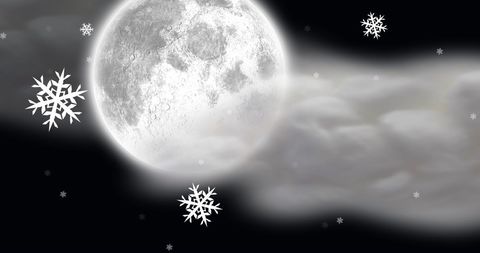 Full Moon and Falling Snowflakes in Winter Night Scene