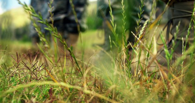 This image depicts soldiers walking through tall grass in a natural landscape, emphasizing their camouflage uniforms blending with nature. Ideal for use in military-themed content, outdoor adventure promotions, survival training materials, and nature walks highlights.