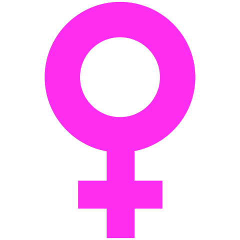 Pink Female Sign on Transparent Background for Feminine Design - Download Free Stock Videos Pikwizard.com
