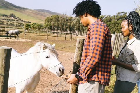 Couple Enjoying Horse Feeding in Countryside
