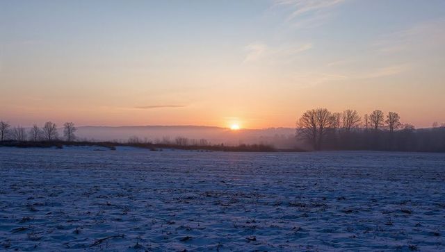 Winter sunrise over frosted farmland with mist rising and bare trees on horizon at dawn