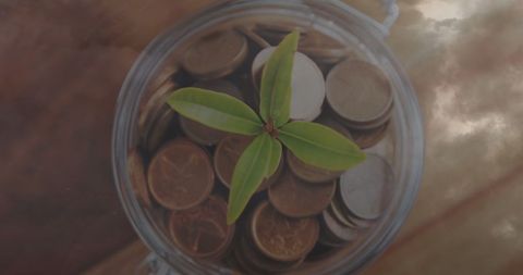 Green plant growing from coins in creative thunderstorm concept