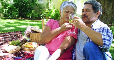 Senior Couple Enjoying Relaxed Picnic Cheers in Serene Garden - Download Free Stock Images Pikwizard.com