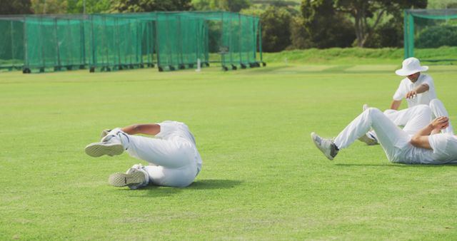 Cricketers Practicing Fielding on Green Pitch - Download Free Stock Images Pikwizard.com