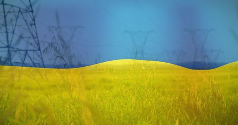 Ukrainian Flag Overlaying Scenic Field with Electricity Poles - Download Free Stock Images Pikwizard.com