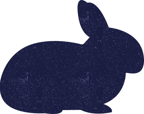transparent silhouette of sitting bunny for easter celebrations - Download Free Stock Videos Pikwizard.com
