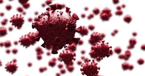 Microscopic View of Red Coronavirus Cells on White Background - Download Free Stock Images Pikwizard.com