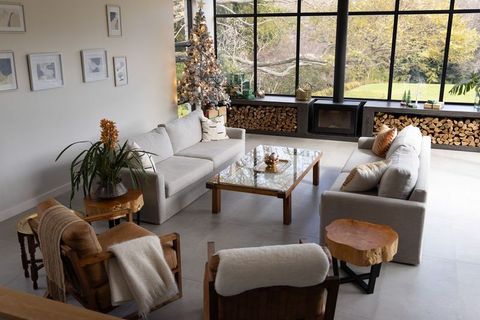 Cozy modern-rustic living room with large windows, fireplace and christmas tree decor