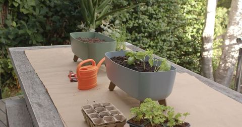 Eco-friendly urban gardening with modern planters