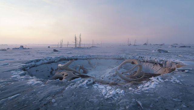 Mysterious ice crater with seemingly fossilized remnants