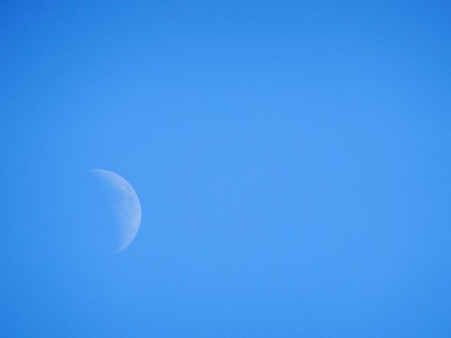 Half moon captured in clear blue sky creates serene and tranquil view. Suitable for nature-themed projects, restful imagery needs, backgrounds for quotes, or astronomy-related content.