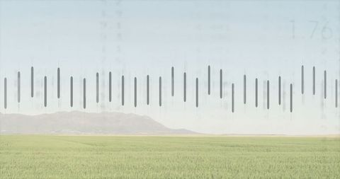 Abstract Digital Data in Serene Landscape