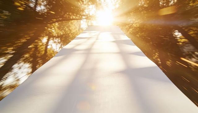 Sunlit white ramp rising through forest toward bright sunlight and golden backlit glow