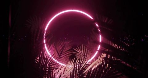 Enchanting neon ring glowing amidst silhouetted palm leaves