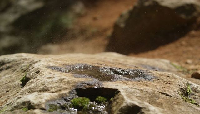 Sunlit weathered sandstone holding shallow water pools with moss and lichen texture