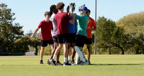 Multicultural cricket team celebrating wicket on sunny grass pitch
