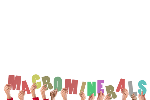 Hands Holding Colorful Macrominerals Sign on Transparent Background - Download Free Stock Videos Pikwizard.com