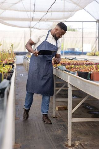 African american gardener inspecting potted seedlings in greenhouse nursery with clipboard