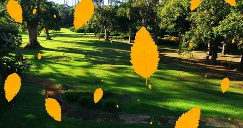 Autumn Leaves Falling in Serene Sunlit Park
