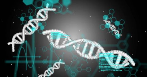 DNA Strands and Digital Data Processing Concept - Download Free Stock Images Pikwizard.com