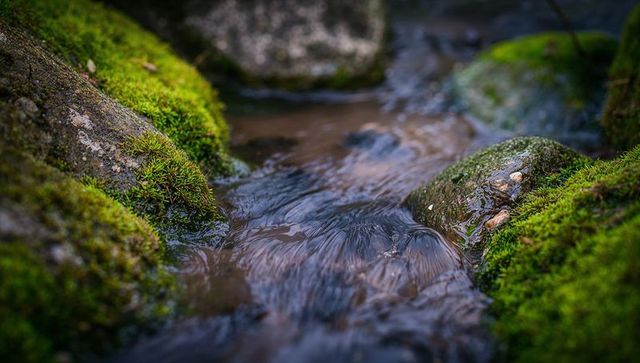 Moss-covered rocks with trickling stream flowing over pebbles in tranquil woodland