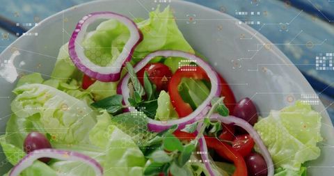 High-tech romaine salad with red onion rings, olives and digital hud overlay
