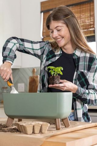 Smiling young woman potting seedling in green planter on kitchen counter, indoor gardening
