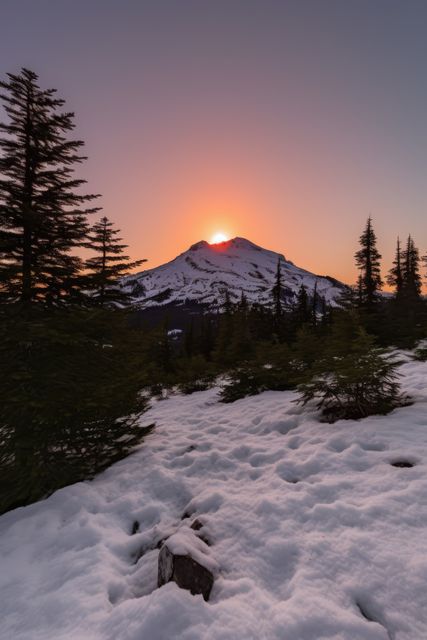Sunset casts an orange glow over the snowy mountain while pine trees dot the landscape, creating a serene and picturesque nature scene. This can be used in travel promotions, winter sports advertisements, nature photography showcases, relaxation or mindfulness projects, and outdoor adventure magazines.