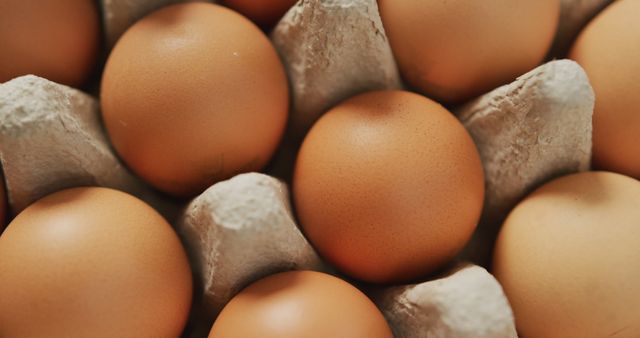 Close-up of Brown Eggs in Carton - Download Free Stock Images Pikwizard.com