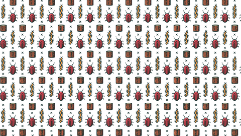 colorful insect pattern on transparent background - Download Free Stock Videos Pikwizard.com
