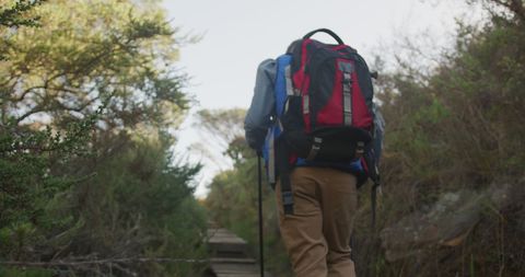 Senior Male Hiker With Backpack On Nature Trail - Download Free Stock Images Pikwizard.com