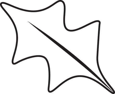 transparent outline of autumn leaf with bold contour - Download Free Stock Videos Pikwizard.com