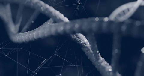 Abstract DNA Strand with Network Connections on Black Background - Download Free Stock Images Pikwizard.com
