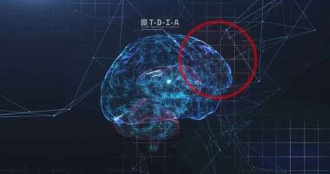 Wireframe Brain Imagery with Red Highlight on Digital Interface