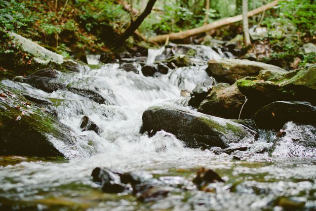 Captures a serene forest stream flowing over moss-covered rocks surrounded by lush greenery. Ideal for promoting outdoor activities, nature reserves, environmental projects, or relaxation products.